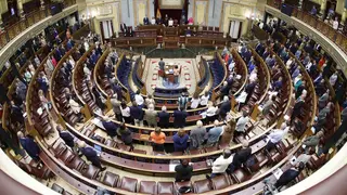 Sesi&oacute;n plenaria en el -Congreso