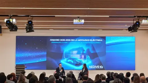 AEDIVE prestacion anuario